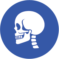 Neck